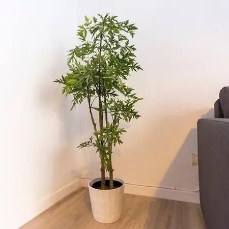 Lejlighed Cathedral Málaga